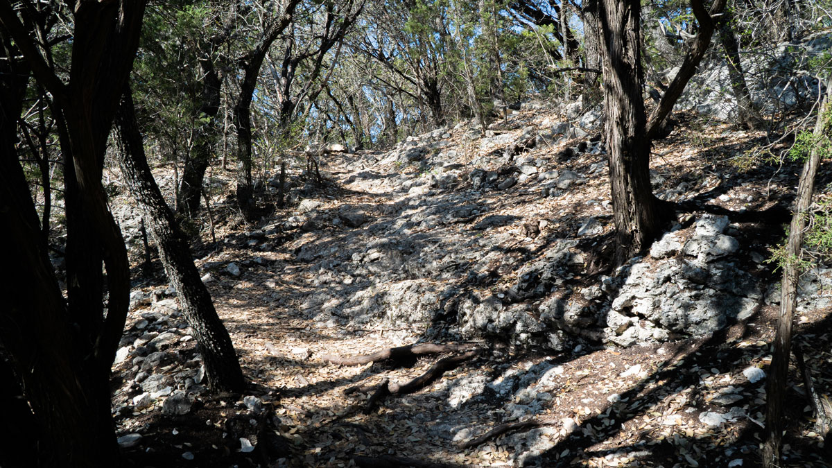 Ridgeline Trail at Warbler Vista