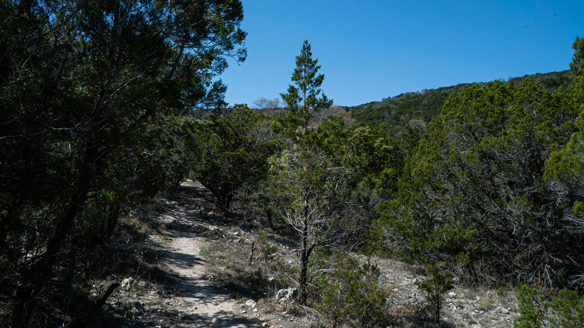 Warbler Vista trail system