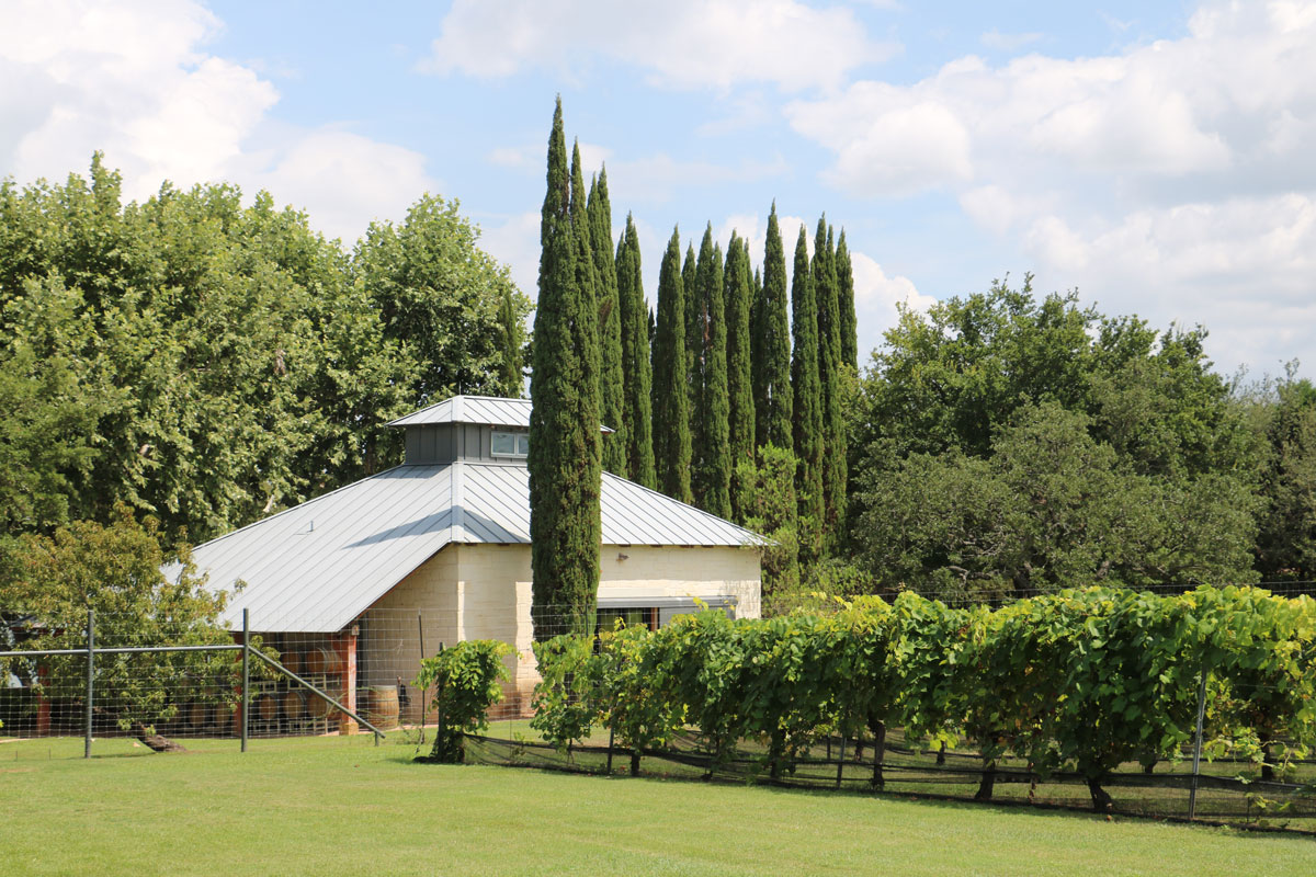 Stone House Vineyard near Lake Travis