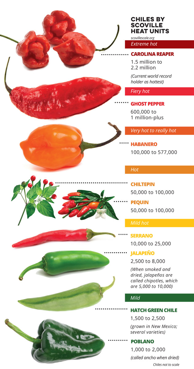 Scoville Heat Scale: How to Use Mexican Chiles
