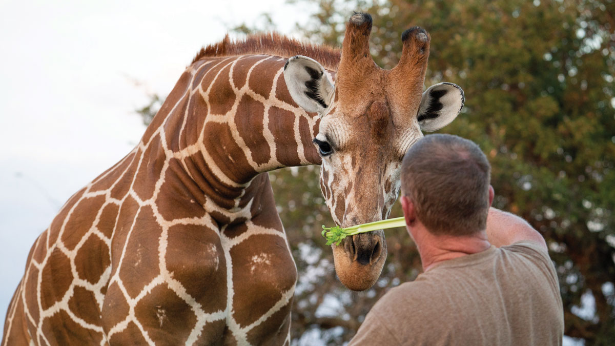 Danny Parrish with Bob the giraffe