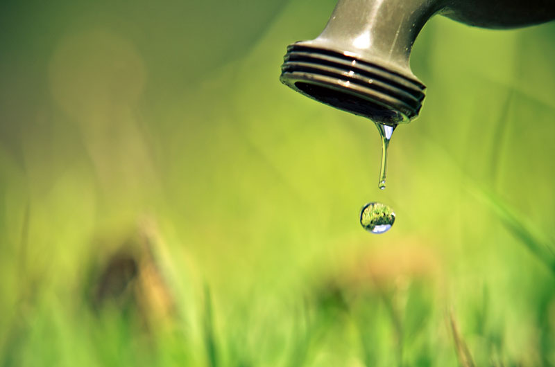 Check your home inside and out, including sprinkler systems and faucets, for drips and leaks. Stopping the drips saves two valuable resources: water and money.