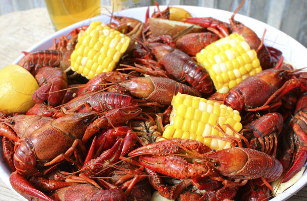 The annual Llano Crawfish Open features big names in Texas music and plenty of crawfish.