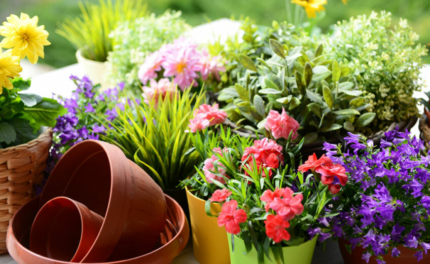 In-the-soil watering spikes would be best for outdoor containers to help keep evaporation at a minimum. iStock image