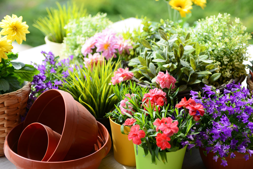 In-the-soil watering spikes would be best for outdoor containers to help keep evaporation at a minimum. iStock image