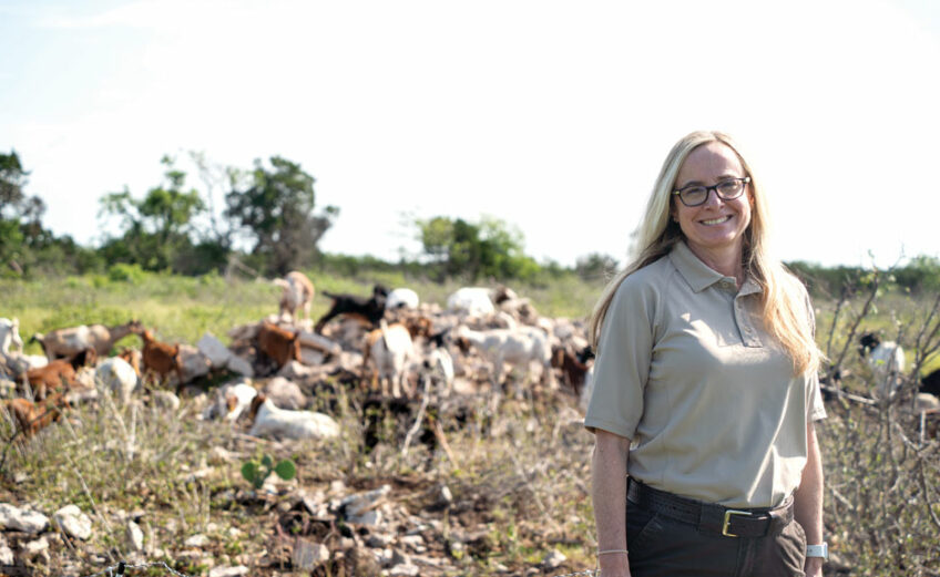 Balcones Canyonlands National Wildlife Refuge manager Kelly Perky on the outskirts of the refuge, where goats are used to create viable habitat for the black-capped vireo, once an endangered species. Staff photo by Dakota Morrissiey