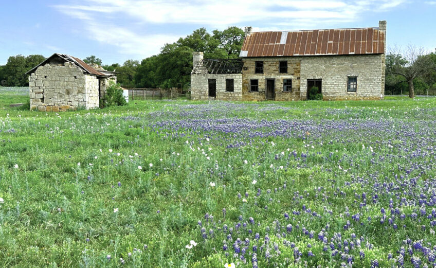 The Bluebonnet House in late March 2023, surrounded by bluebonnets. The Marble Falls structure is famous worldwide for its rich Texas history, architectural style, and iconic Hill Country landscape, especially during wildflower season. Staff photo by Suzanne Freeman