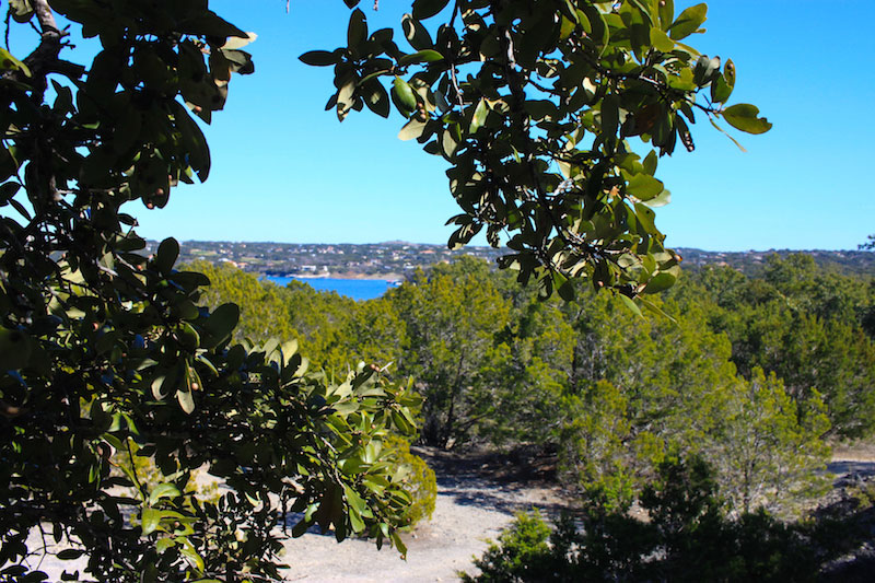 Pace Bend Park in Spicewood offers a scenic view of Lake Travis peeking between the trees on the trails. Photo by JoAnna Kopp