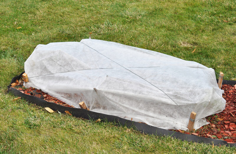 Fleece blankets can help protect your outdoor plants from freeze damage.