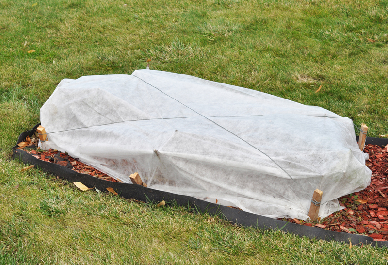 Fleece blankets can help protect your outdoor plants from freeze damage.