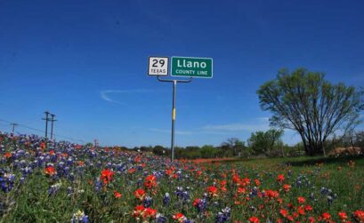 Texas 29 in Llano County is a great drive for wildflower viewing. Photos by Karla Held