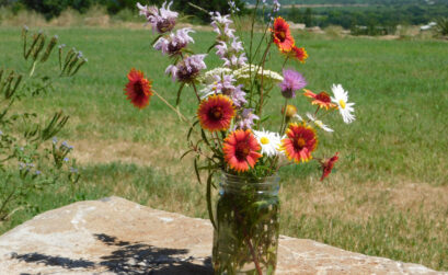 A vase of local wildflowers is an excellent way to say happy Mother’s Day, Highland Lakes style. Keep reading for more ideas to celebrate Mom. Staff photo by Jennifer Greenwell