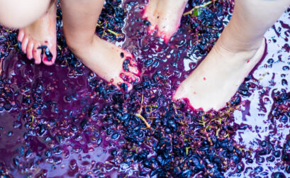 grape stomp