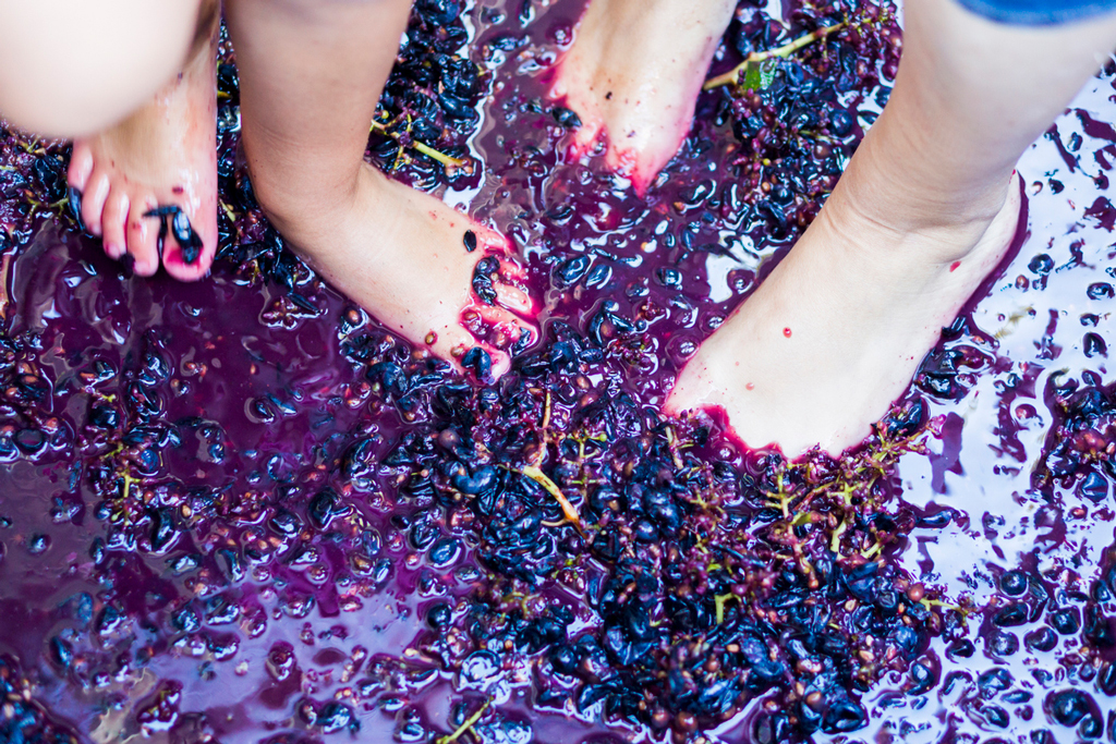 grape stomp