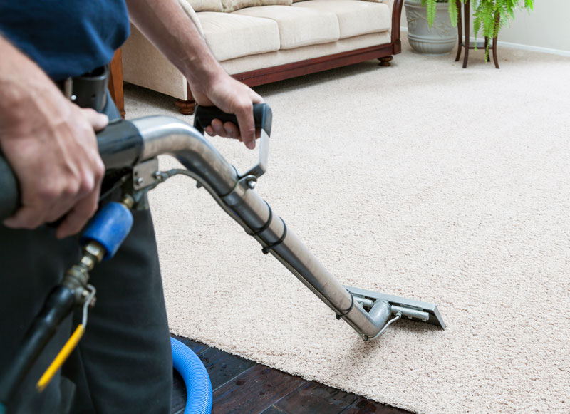 For a deep carpet cleaning, hire a professional who has the equipment and expertise to more efficiently return your home to a fresh, clean smell and feel.