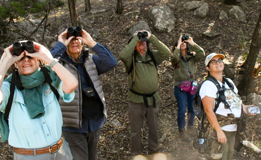 A group of birders lock in on their quarry while hiking Balcones Canyonlands National Wildlife Refuge. The refuge is among dozens of fantastic Highland Lakes birding destinations. Photo by Claire Hassler/U.S. Fish and Wildlife Service