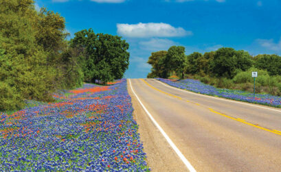 Mowing and planting seeds to encourage wildflower growth along state highways, such as Texas 16, have been part of Texas Department of Transportation policy since the 1930s. Photo by Mark Stracke