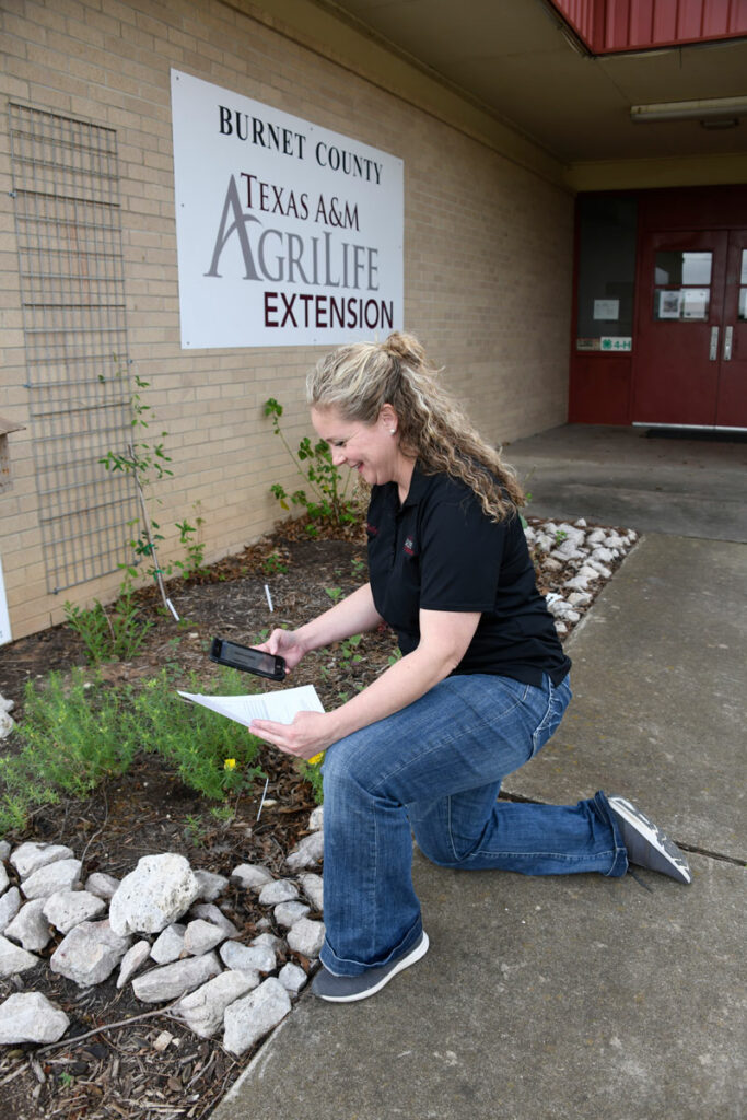 Kelly Tarla, the Texas A&M AgriLife Extension Service agent for Burnet County, uses an app on her smartphone to determine the soil type at the AgriLife office, 607 N. Vanderveer in Burnet. Photo by Mark Stracke