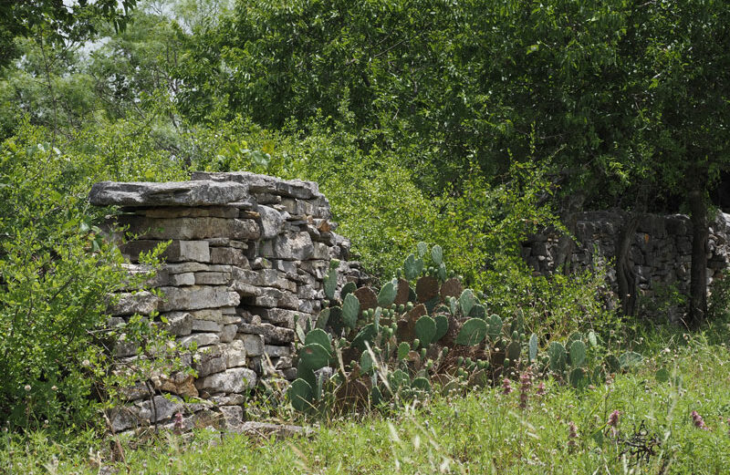 Remnants of Black’s Fort stand guard on the property once owned by settler William Black. Staff photo by Daniel Clifton
