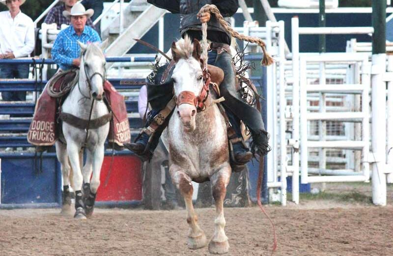 The Burnet County Rodeo continues to be a crowd pleaser. It was again voted the Locals Love Us favorite community event in the Burnet area by The Picayune readers and KBEY 103.9 FM Radio Picayune listeners. File photo