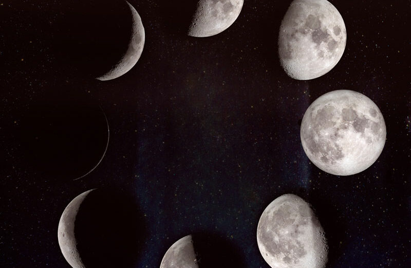 You can go by the phases of the moon when planting your garden.