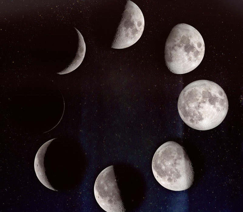 You can go by the phases of the moon when planting your garden.