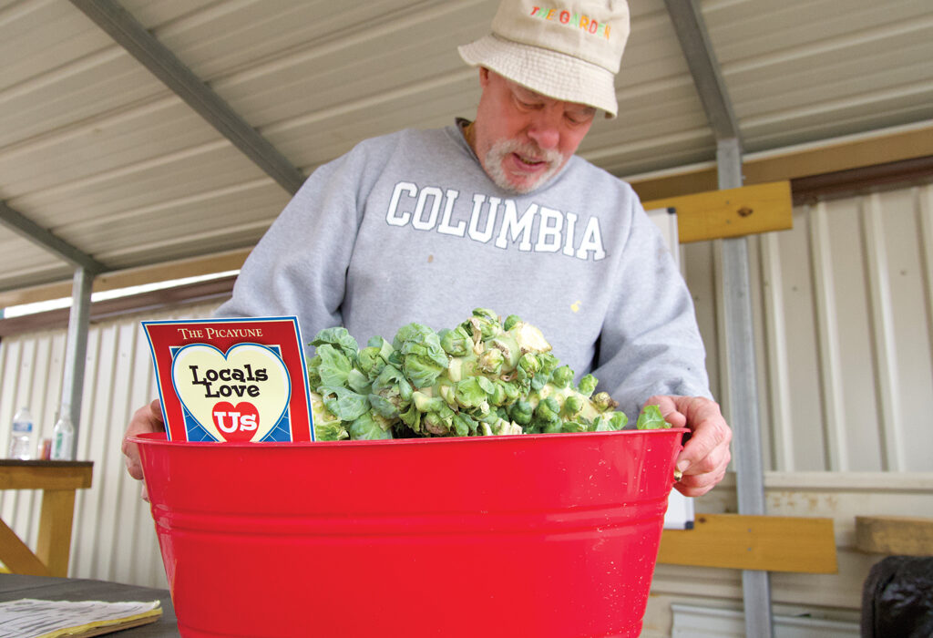 Master Gardener David Waldo weighs Brussels sprouts picked from the Garden Powered by the Highland Lakes Master Gardener Association at Trinity Episcopal Church in Marble Falls. The garden produced more than 5,000 pounds of food for The Helping Center of Marble Falls. Staff photo by Daniel Clifton