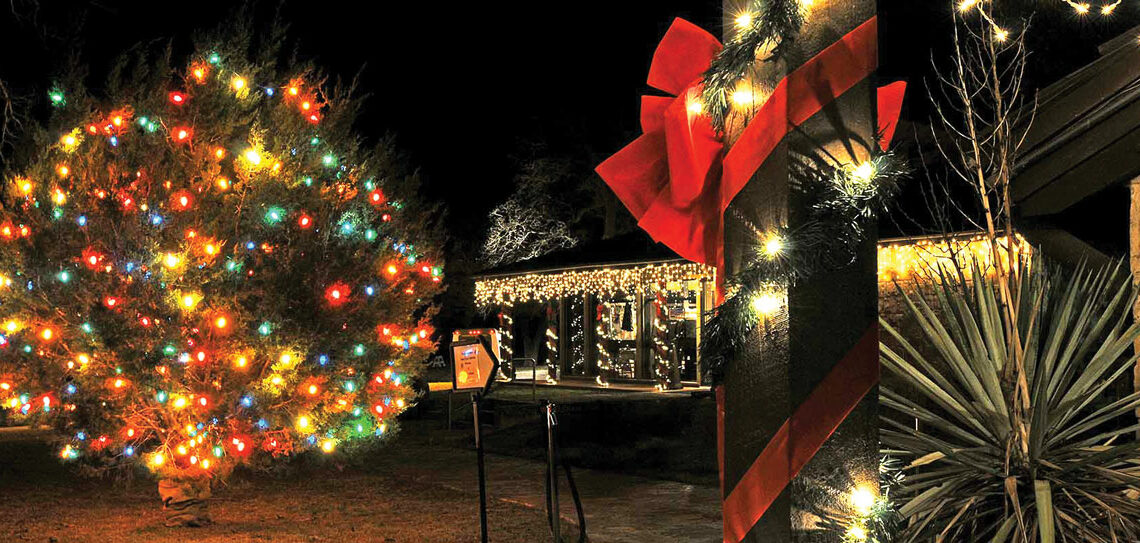LBJ State Park Christmas tree