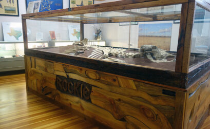 One of the many exhibits at The Falls on the Colorado Museum in Marble Falls is Rockie, the 700-year-old bones of a female bison discovered on the banks of Rocky Creek near Oakalla in northern Burnet County. Staff photo by Suzanne Freeman