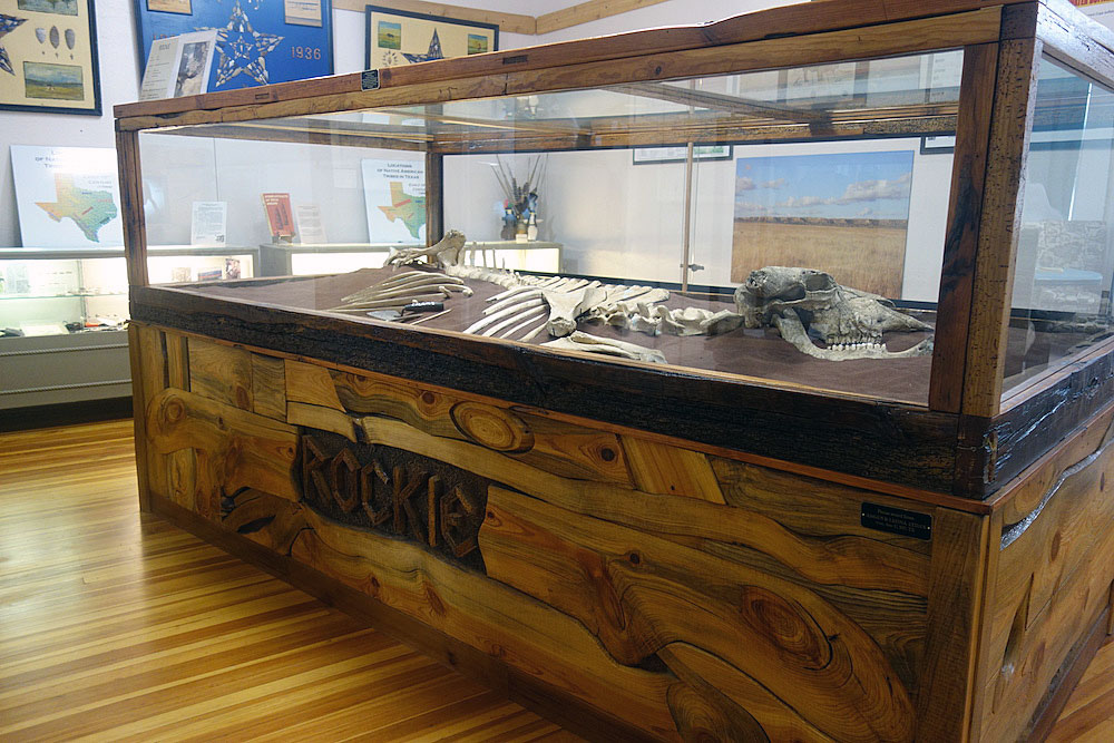 One of the many exhibits at The Falls on the Colorado Museum in Marble Falls is Rockie, the 700-year-old bones of a female bison discovered on the banks of Rocky Creek near Oakalla in northern Burnet County. Staff photo by Suzanne Freeman