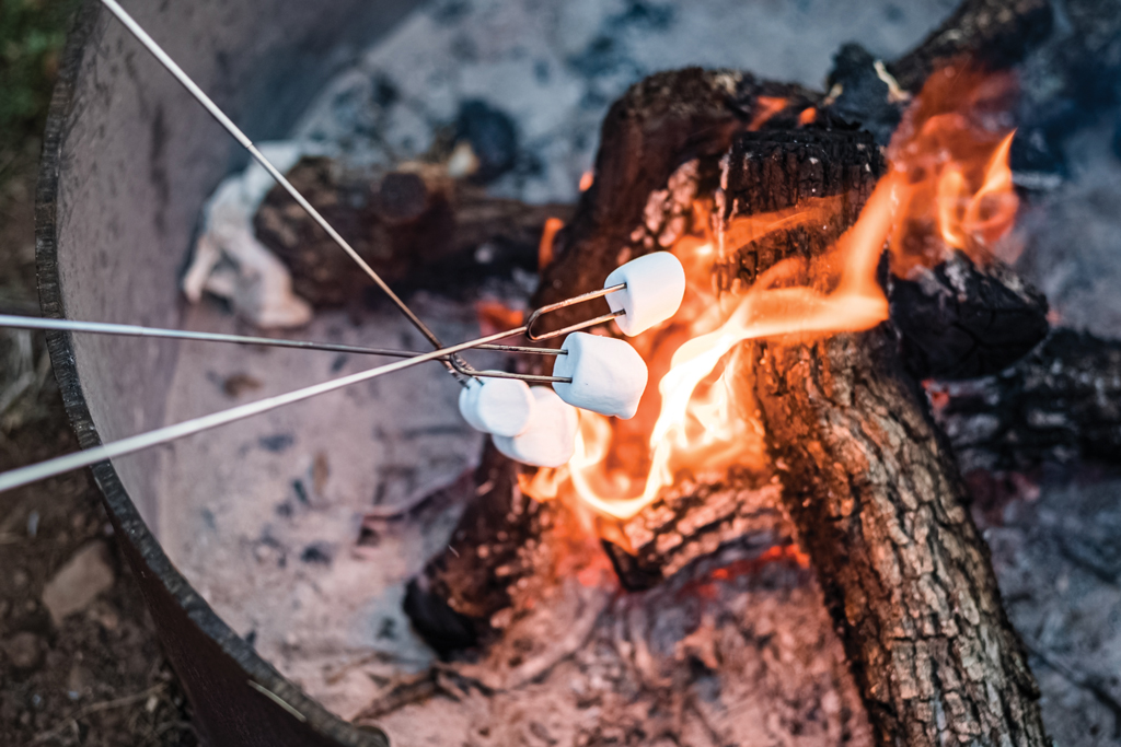 A campsite is not complete without toasting marshmallows over a fire. Check the rules of our campground before lighting a fire. Photo by Ronnie Madrid/Divine Radiance Photography