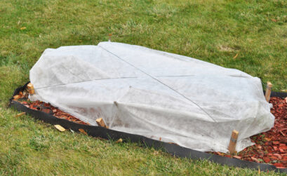 Fleece blankets can help protect your outdoor plants from freeze damage.