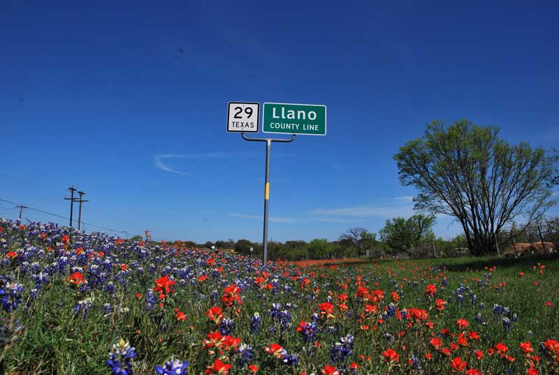 Texas 29 in Llano County is a great drive for wildflower viewing. Photos by Karla Held