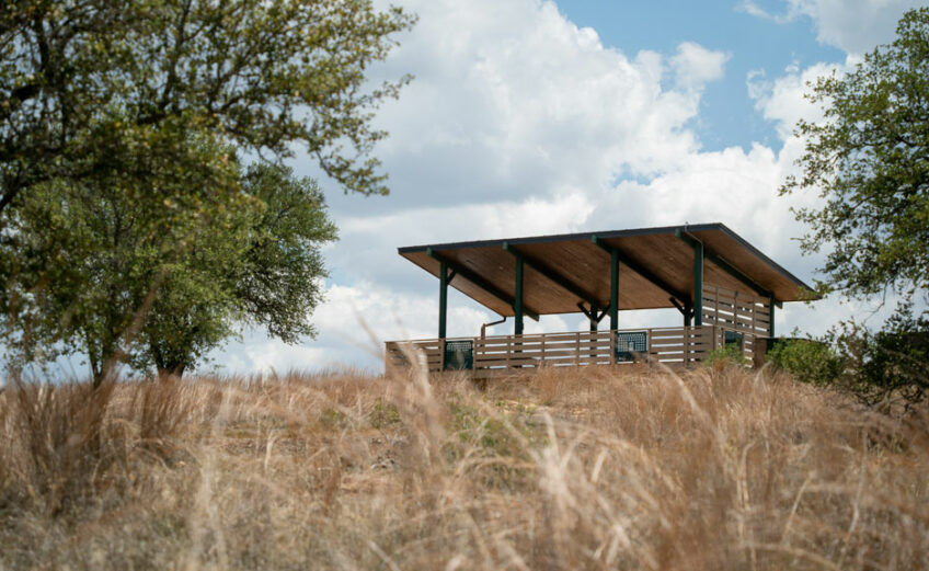 The observation deck at Horseshoe Bay Nature Park provides an overlook for visitors and a wide view of the park. With the right lens, you could capture some great photos from this vantage point. The shade it offers in the summer isn’t bad either. Staff photo by Dakota Morrissiey