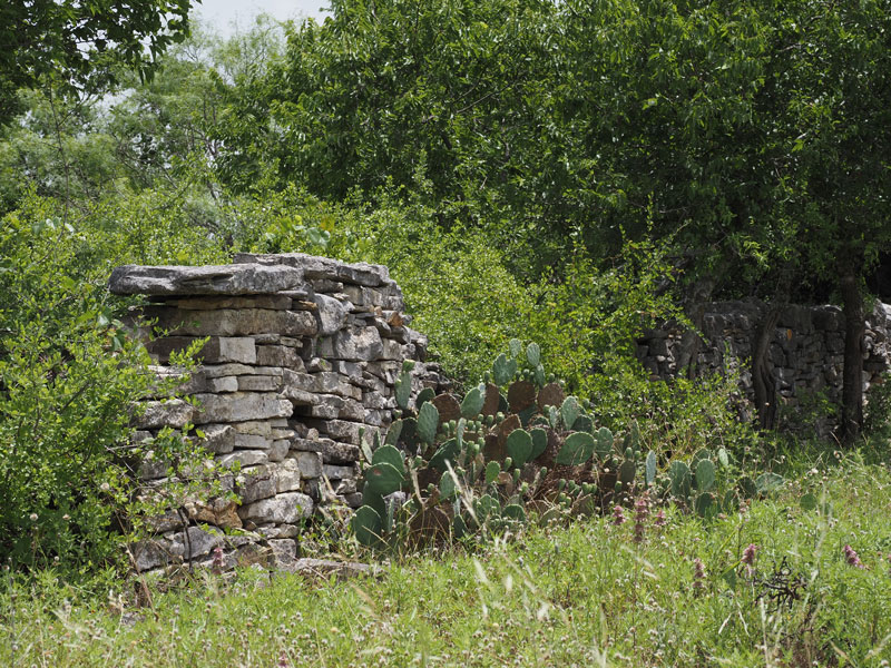 Remnants of Black’s Fort stand guard on the property once owned by settler William Black. Staff photo by Daniel Clifton