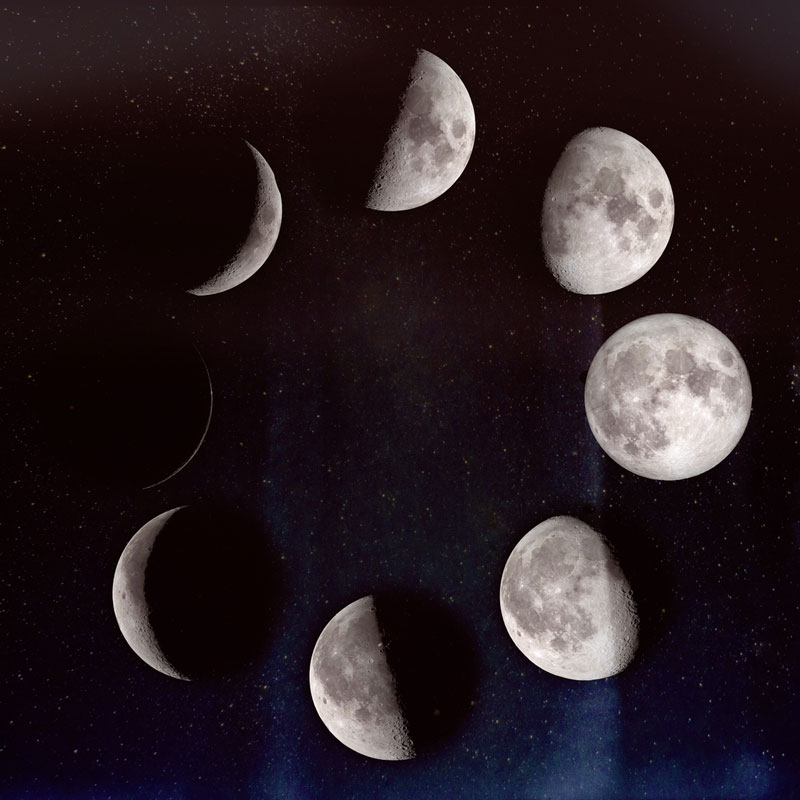 You can go by the phases of the moon when planting your garden.