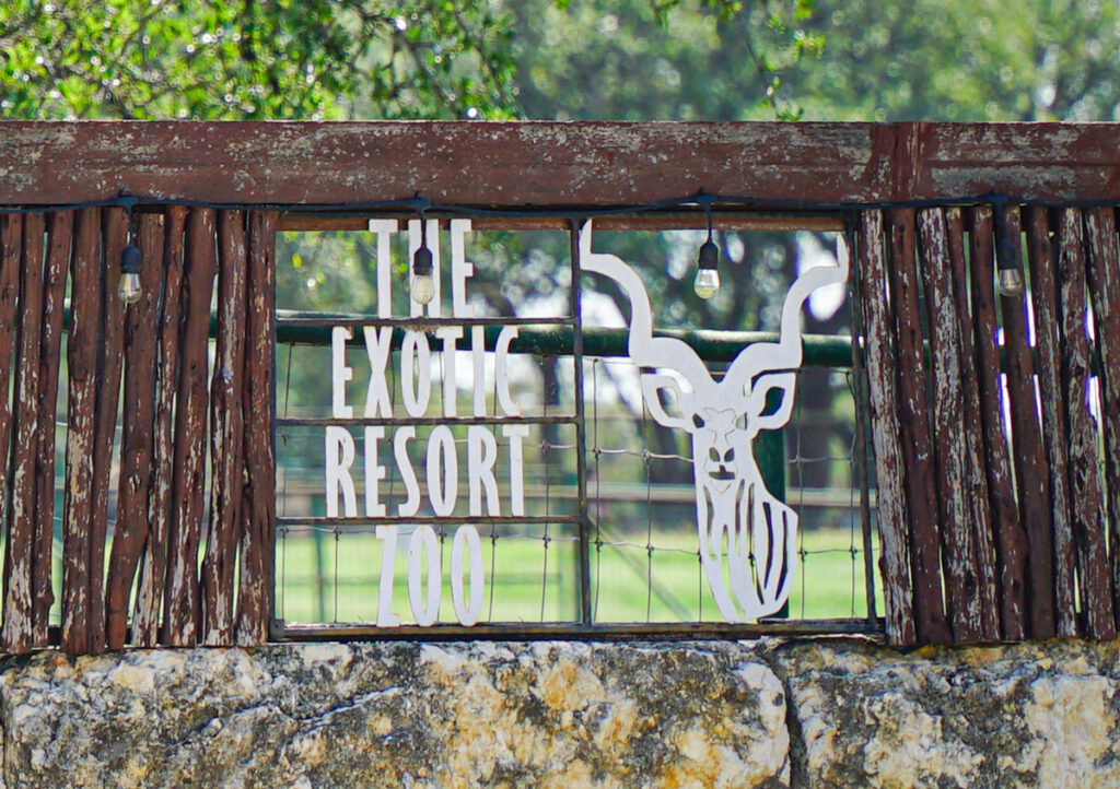 Welcome to the Exotic Resort Zoo
